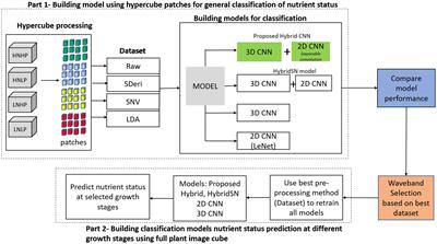 Modeling the spatial-spectral characteristics of plants for nutrient status identification using hyperspectral data and deep learning methods